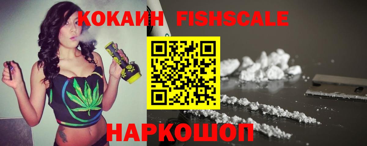 COCAIN FishScale  КОКАИН  Гусиноозёрск  где купить наркоту  Вход с VPN 