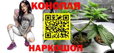 молекула духа Балашиха