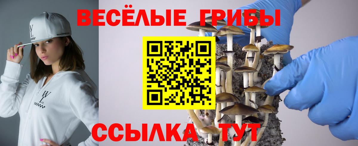 Галлюциногенные грибы мухоморы Гусиноозёрск