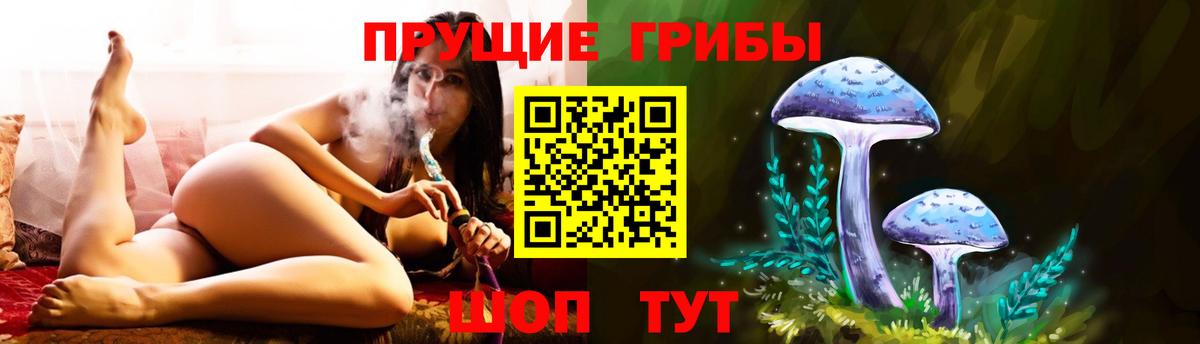 Гусиноозёрск  Псилоцибиновые грибы мицелий  Вход с VPN  Галлюциногенные грибы Psilocybe 
